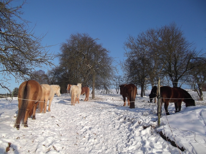 Winteridylle